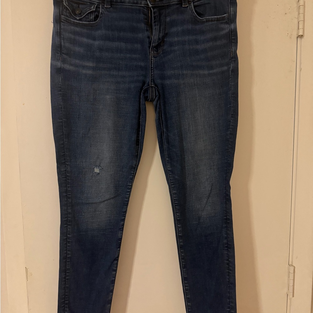 American Eagle Outfitters Dark Blue Skinny Jeggings